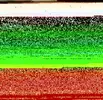rolexi.webp