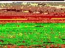 ImageUploadedByTapatalk1401265625.889879.webp