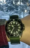 Precistagreen.webp