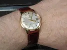 Seamaster ranteessa.webp