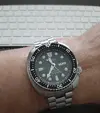 Seiko_T.webp