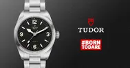 Tudor-banner_14_1600x.jpg