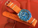 Squale, oranssi nato.webp