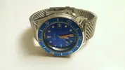 Squale ja mesh.webp