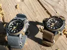 citizen aqualand2.jpeg
